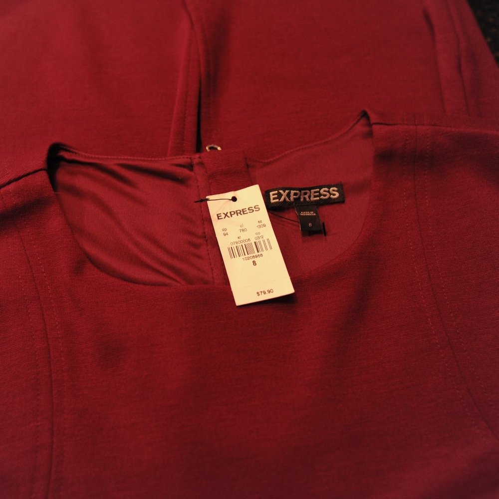 Express Dress - Picture 3 of 4